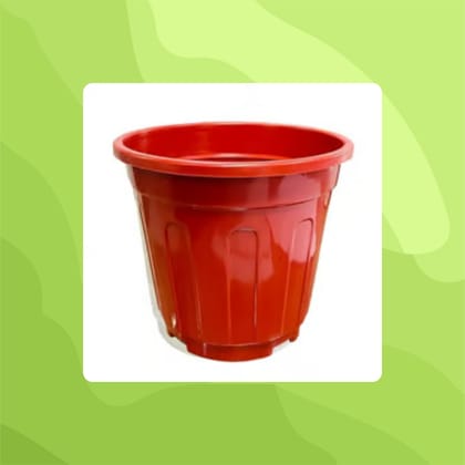 Free Gift - 6 Inch Red Super Nursery Pot - Flash Sale