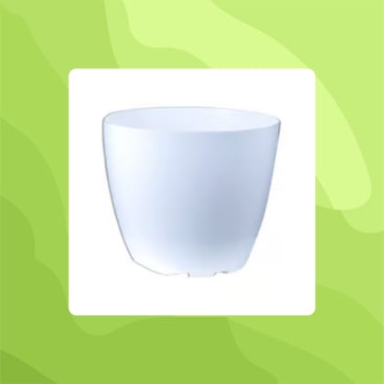 Free Gift - 6 Inch White Premium Orchid Round Plastic Pot - Flash Sale
