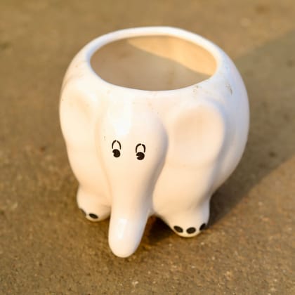 Buy 5 Inch Cute Elephant Designer Ceramic Pot (any colour) Online | Urvann.com