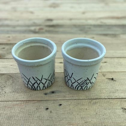 Buy Set of 2 - 3 X 5 White Collar Designer Cup Ceramic Pot Online | Urvann.com