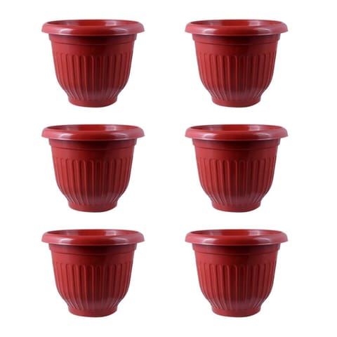 Set of 06 - 12 Inch Terracotta Red Olive Plastic Pot