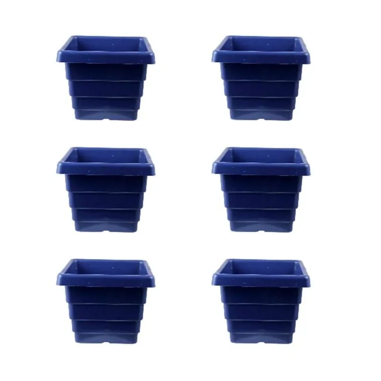 Set of 6 - 4 Inch Blue Premium Orchid Square Plastic Pot