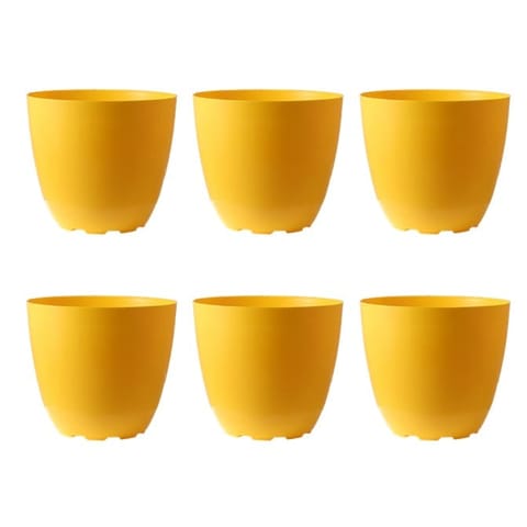 Set of 06 - 4 Inch Yellow Premium Orchid Round Plastic Pot