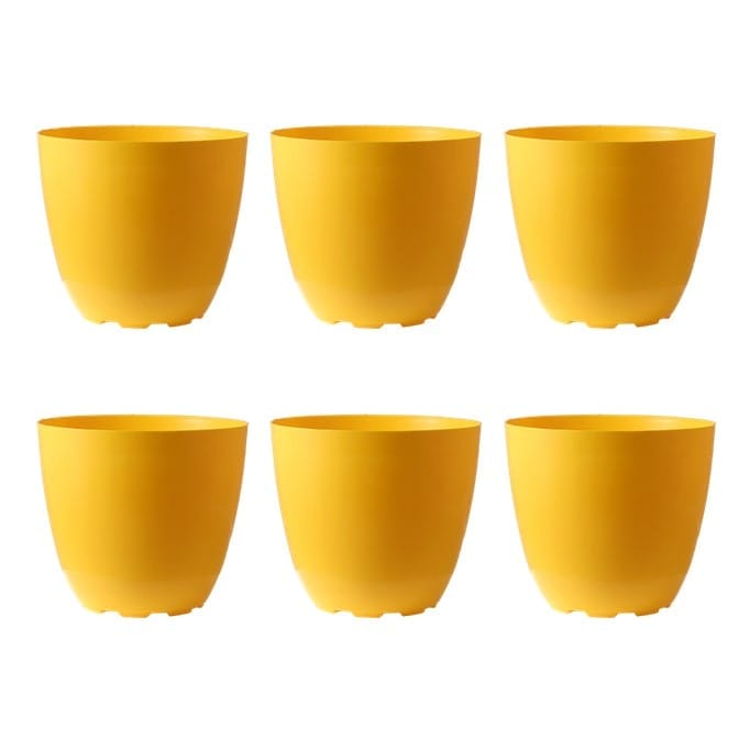 Set of 06 - 4 Inch Yellow Premium Orchid Round Plastic Pot
