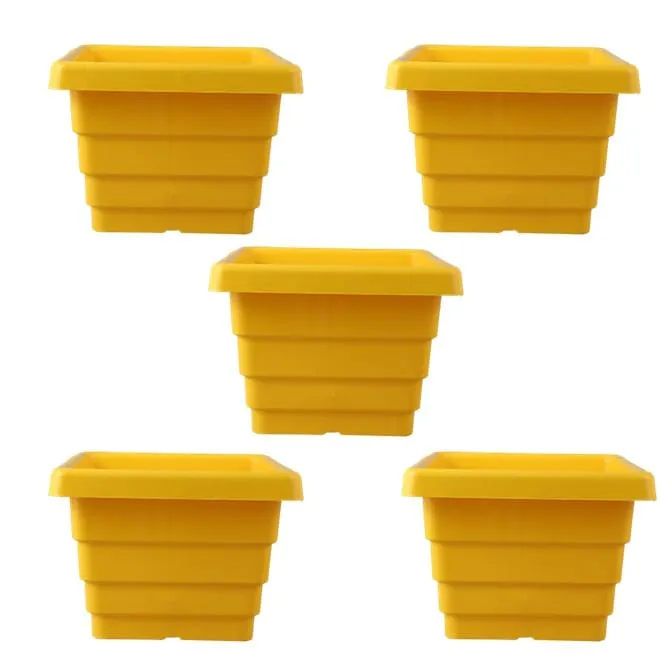 Set of 05 - 4 Inch Yellow Premium Orchid Square Plastic Pot