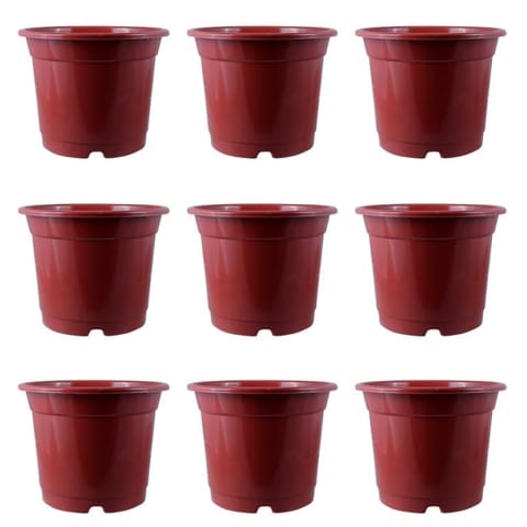 Set of 09 - 8 Inch Red Nursery Pot