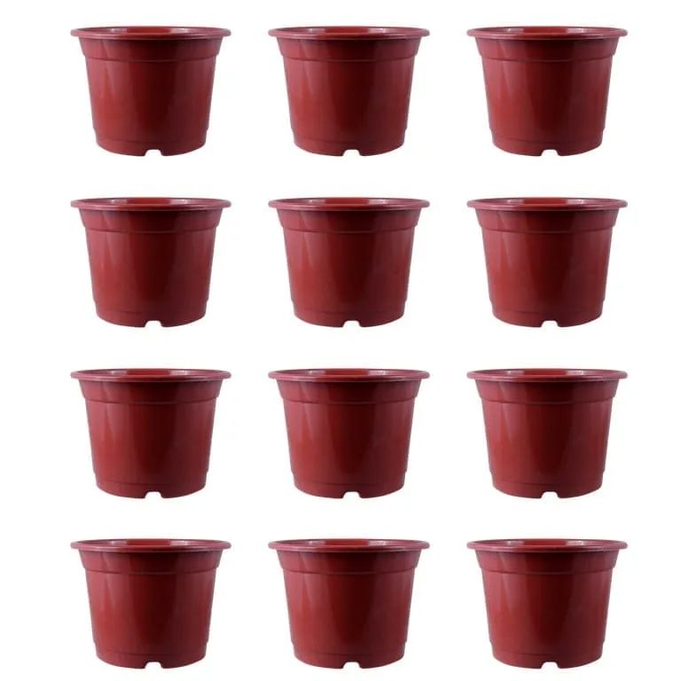 Set of 12 - 8 Inch Red Nursery Pot