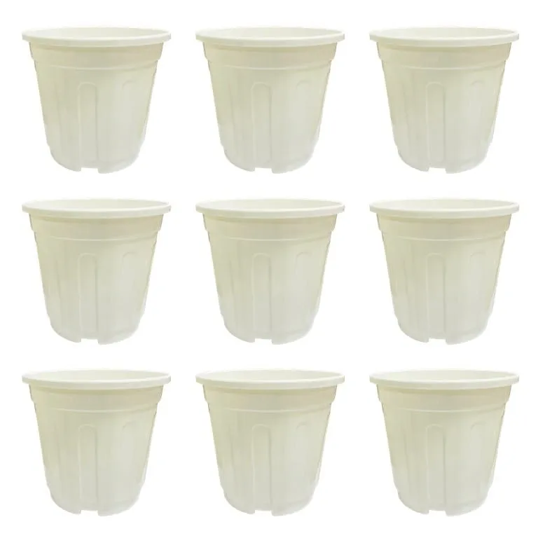Set of 09 - 6 Inch White Super Nursery Pot