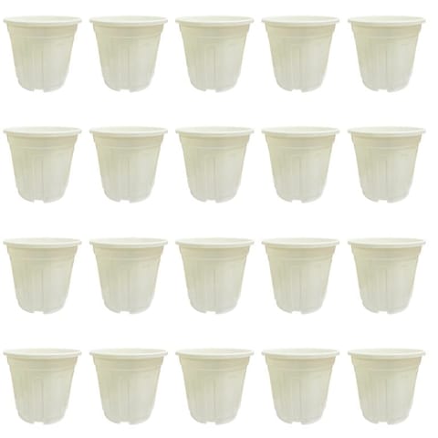 Set of 20 - 6 Inch White Super Nursery Pot