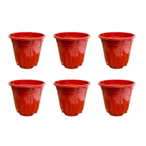 Set of 06 - 6 Inch Red Super Nursery Pot