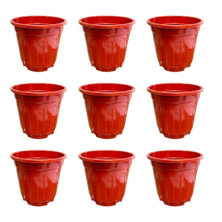 Set of 09 - 6 Inch Red Super Nursery Pot