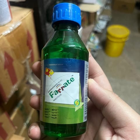 Farrata Insecticide - 100 Ml - Broad-spectrum pest control