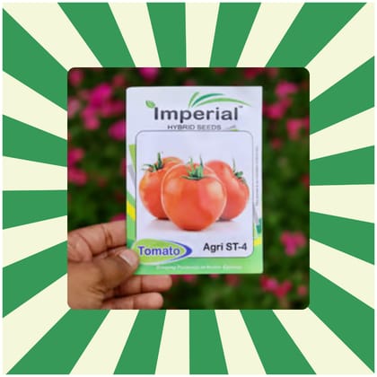 Free Gift - Tomato Seeds - Excellent Germination - Flash Sale