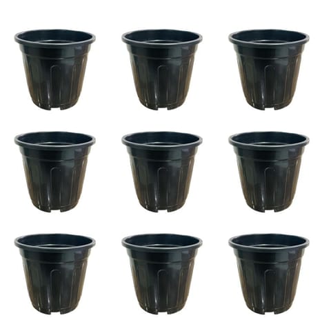 Set of 09 - 6 Inch Black Super Nursery Pot