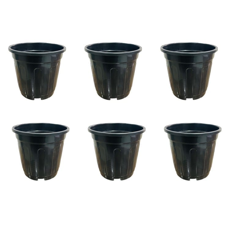 Set of 06 - 6 Inch Black Super Nursery Pot