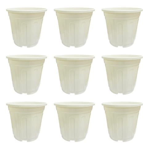 Set of 09 - 6 Inch White Super Nursery Pot