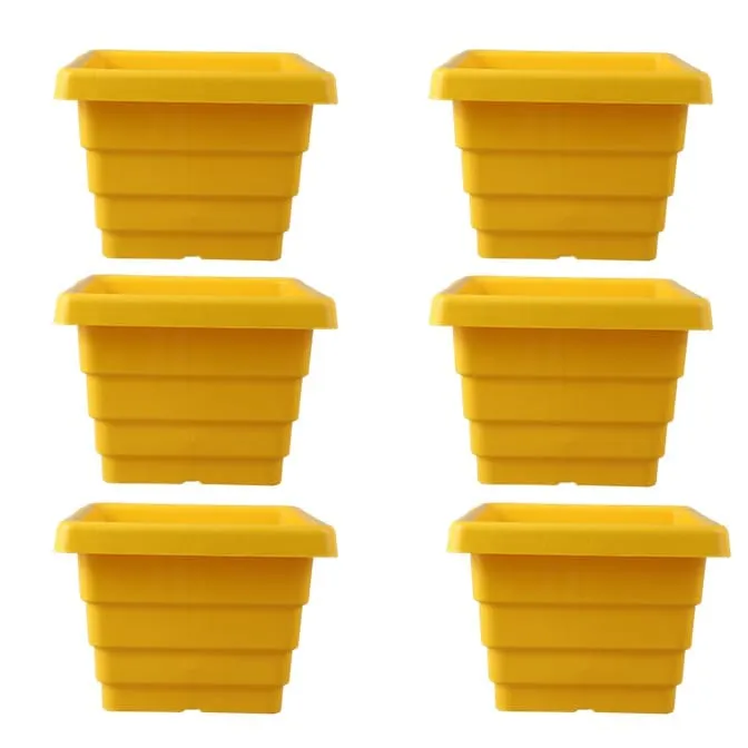 Set of 06 - 10 Inch Yellow Premium Orchid Square Plastic Pot