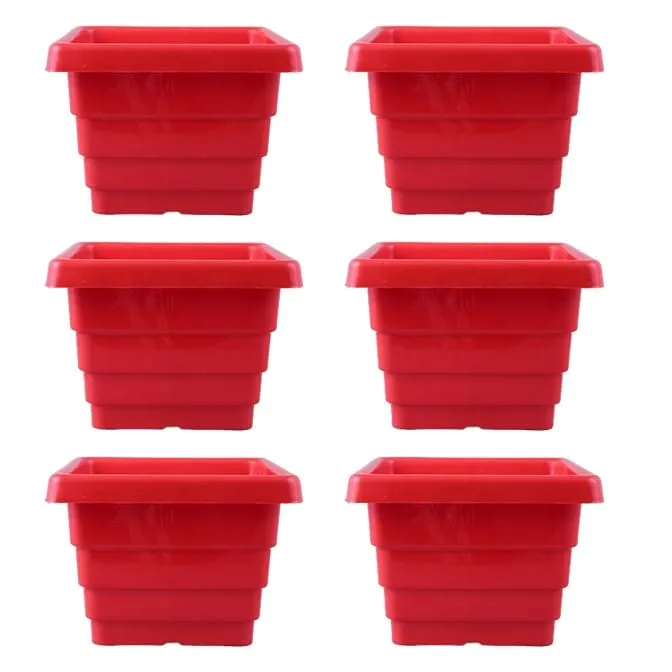 Set of 06 - 6 Inch Red Premium Orchid Square Plastic Pot