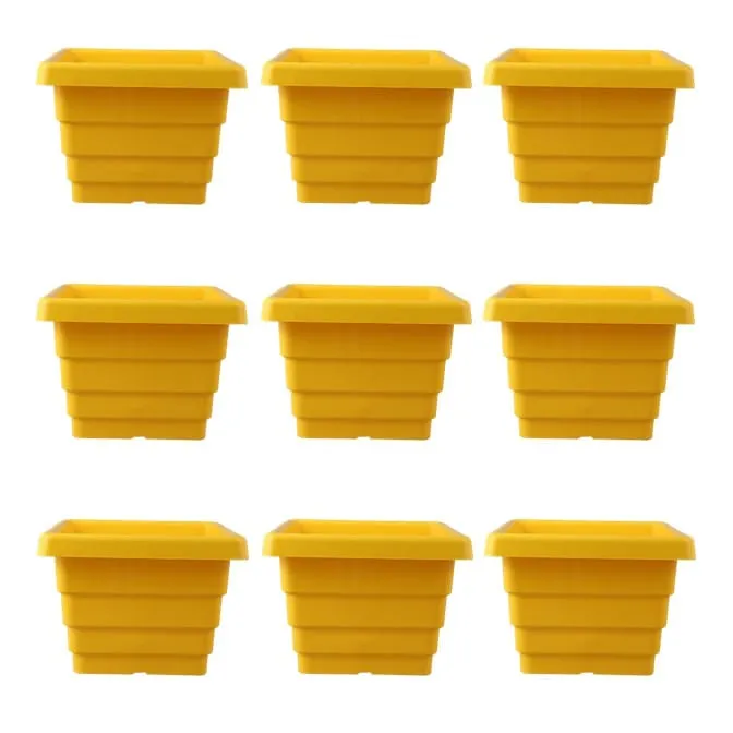 Set of 09 - 6 Inch Yellow Premium Orchid Square Plastic Pot