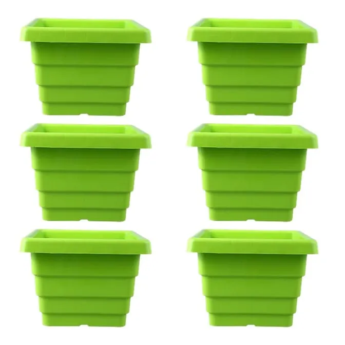 Set of 06 - 4 Inch Green Premium Orchid Square Plastic Pot