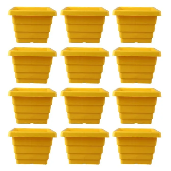 Set of 12 - 4 Inch Yellow Premium Orchid Square Plastic Pot
