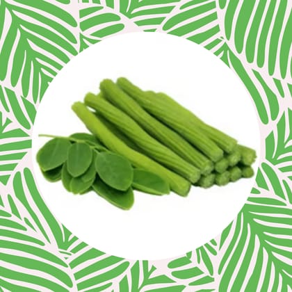 Free Gift - Moringa / Drumstick / Sahjan Seeds - Excellent Germination - Flash Sale