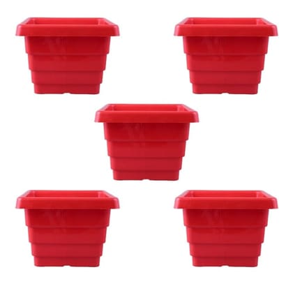 Buy Set of 05 - 4 Inch Red Premium Orchid Square Plastic Pot Online | Urvann.com