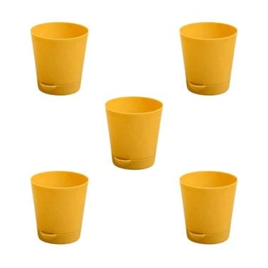 Set of 05 - 4 Inch Yellow Florence Self Watering Pot