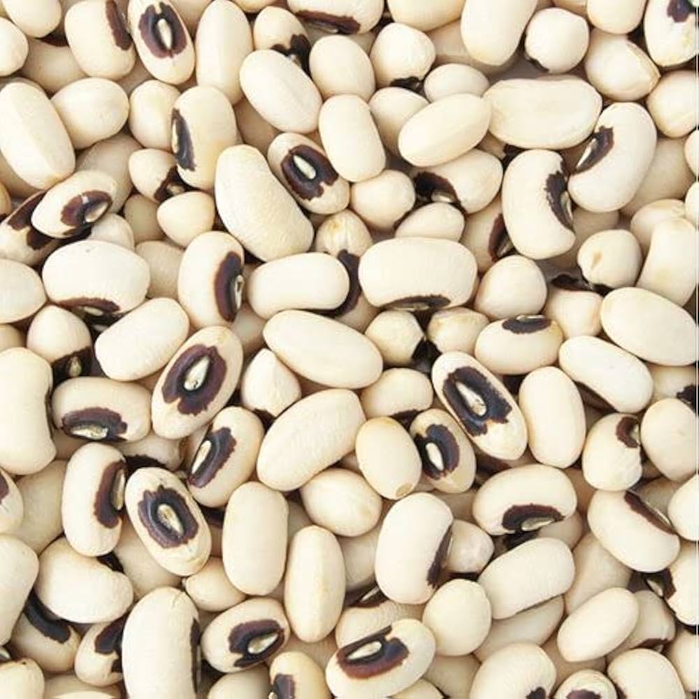 Lobiya / Black Eyed Beans - Excellent Germination