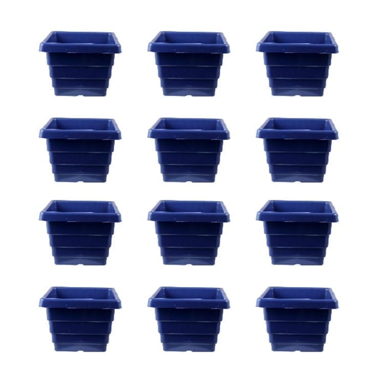 Set of 12 - 4 Inch Blue Premium Orchid Square Plastic Pot