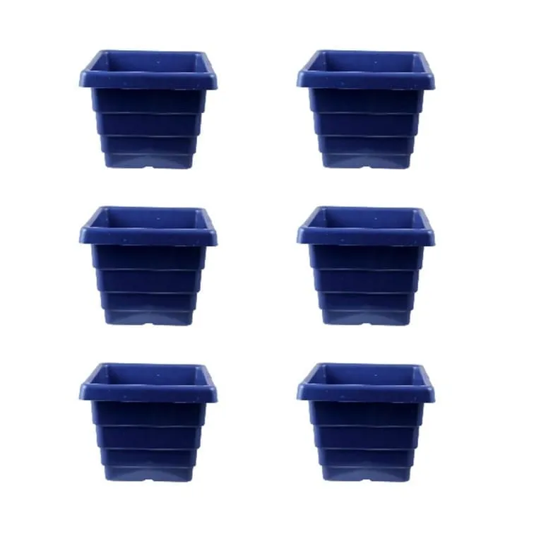 Set of 6 - 4 Inch Blue Premium Orchid Square Plastic Pot