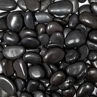 Decorative Black Pebbles - 1 Kg - Sleek stones for modern garden look