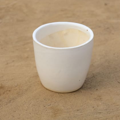 Buy 4 Inch Classy White Round Ceramic Pot Online | Urvann.com
