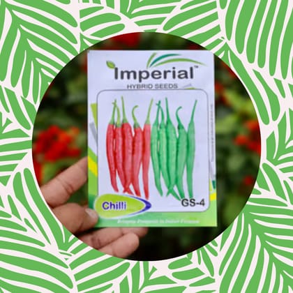 Free Gift - Chilli / Mirchi Jawala Seeds - Excellent Germination - Flash Sale