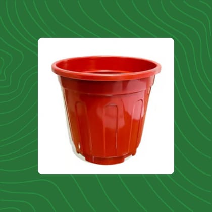 Free Gift - 6 Inch Red Super Nursery Pot - Flash Sale