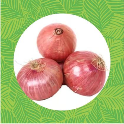 Onion Seeds - Excellent Germination