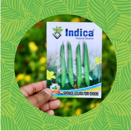 Free Gift - Sponge Gourd / Tori Seeds - Excellent Germination - Flash Sale