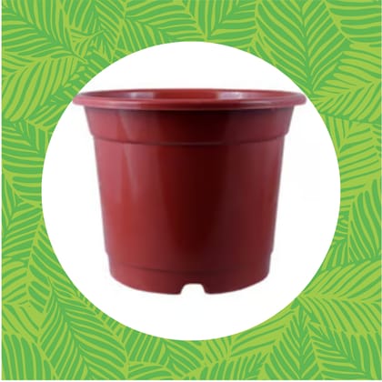 Free Gift - 4 Inch Red Nursery Pot - Flash Sale