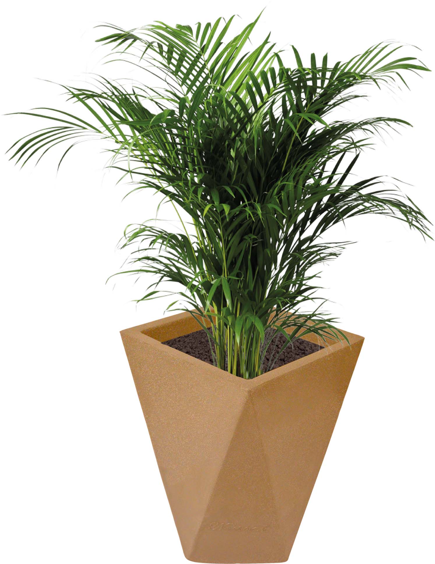 8 X 12 Inch Sandstone Premium Fantasia Fiberglass Planter - Durable large size decoratiive fiber pot for indoor outdoor plants with 5 year warranty