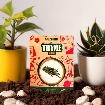 Buy Thyme Seeds - Excellent Germination Online | Urvann.com