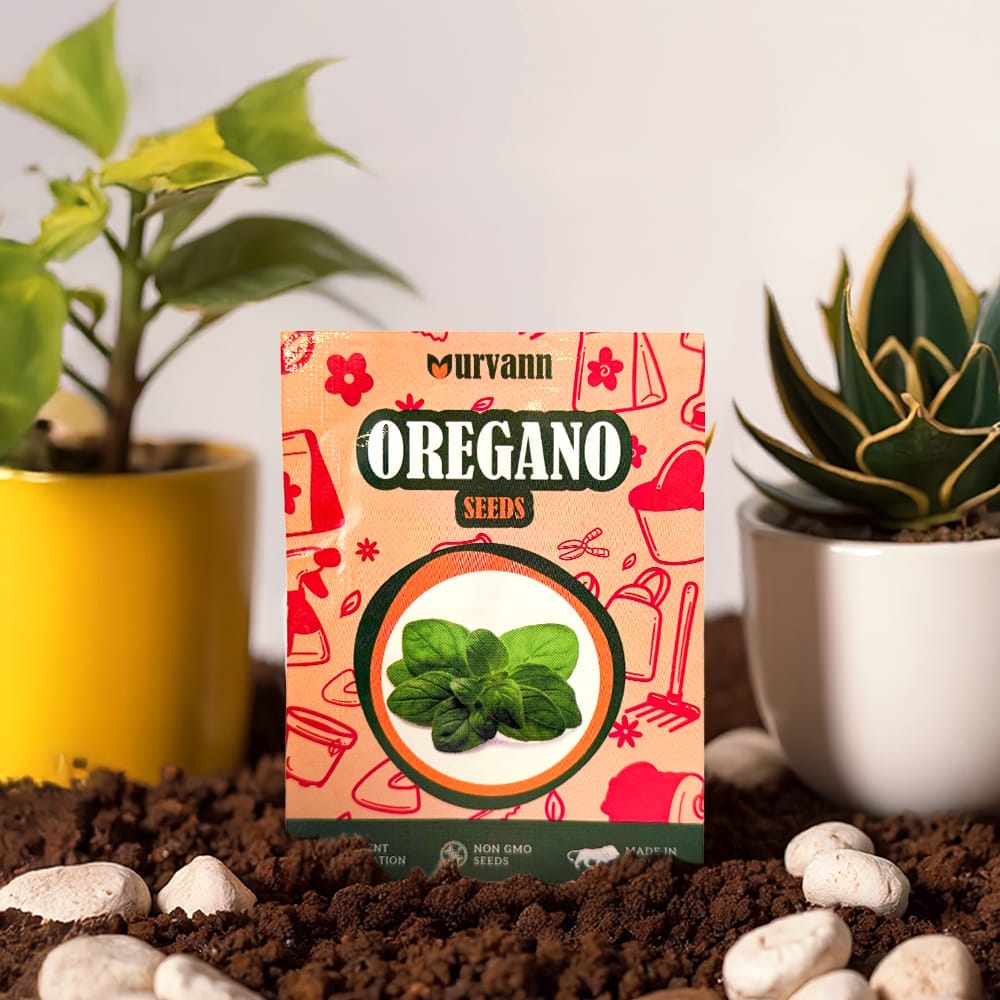 Buy Oregano Seeds - Excellent Germination Online | Urvann.com Oregano Seeds - GMO Free | Excellent Germination | Easy to Grow | Hand Picked
