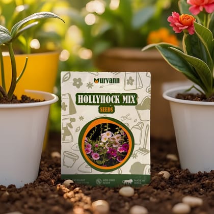 Buy Hollyhock Seeds – GMO Free | Excellent Germination | Easy to Grow | Vibrant Blooms Online | Urvann.com
