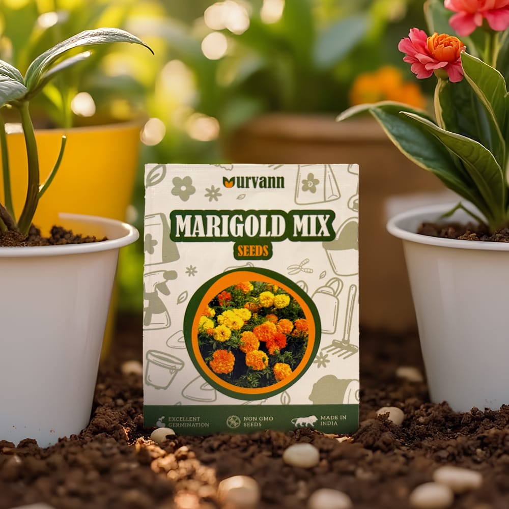 Buy Marigold / Genda Mixed Seeds – GMO Free | Excellent Germination | Easy to Grow | Vibrant Blooms Online | Urvann.com Marigold / Genda Mixed Seeds - GMO Free | Excellent Germination | Easy to Grow | Vibrant Blooms