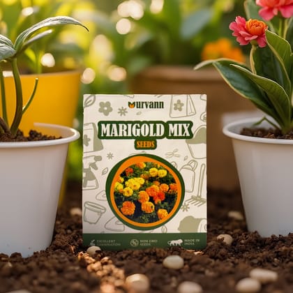Buy Marigold / Genda Mixed Seeds – GMO Free | Excellent Germination | Easy to Grow | Vibrant Blooms Online | Urvann.com