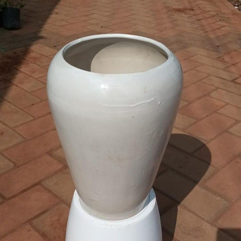 Buy 14 Inch White Classy Ceramic Surai / Apple Pot Online | Urvann.com 14 Inch White Classy Ceramic Surai / Apple Pot