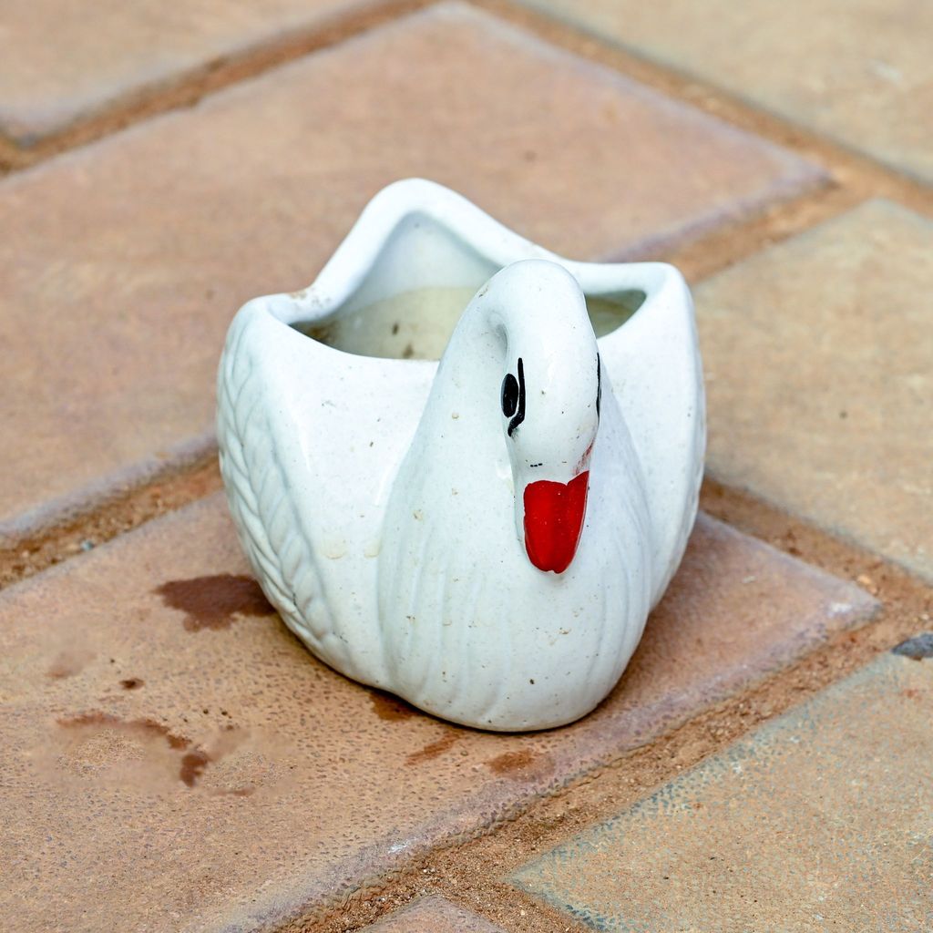 Buy 3 Inch Cute Duck Designer Ceramic Pot (any colour) Online | Urvann.com 3 Inch Cute Duck Designer Ceramic Pot (any colour)
