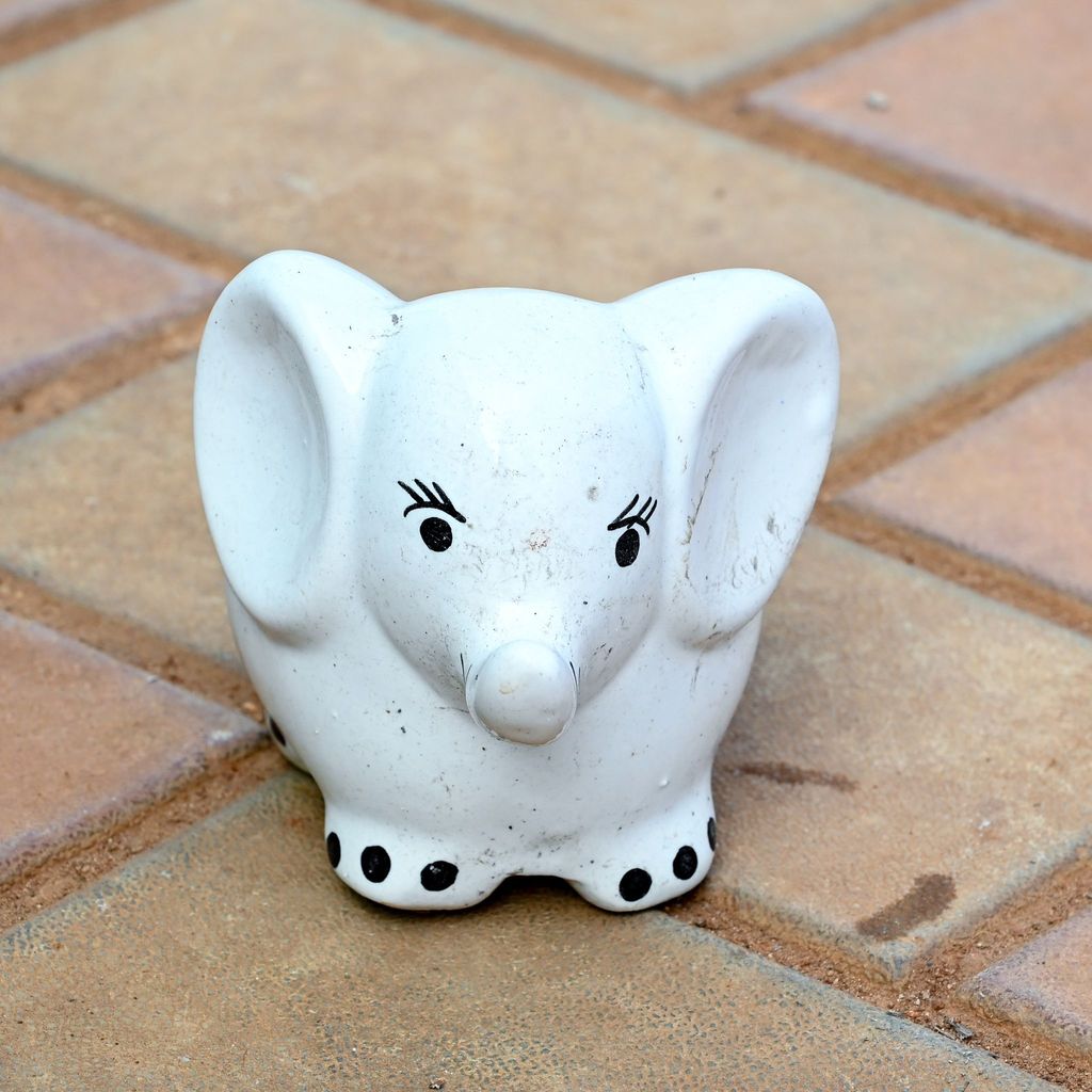 Buy 3 Inch Cute Elephant Designer Ceramic Pot (any colour) Online | Urvann.com 3 Inch Cute Elephant Designer Ceramic Pot (any colour)