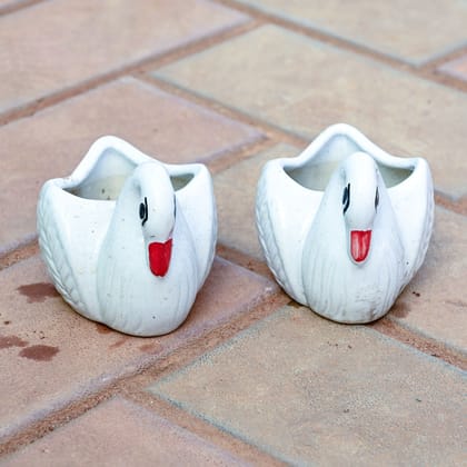 Buy Set of 2 - 3 Inch Cute Duck Designer Ceramic Pot (any colour) Online | Urvann.com