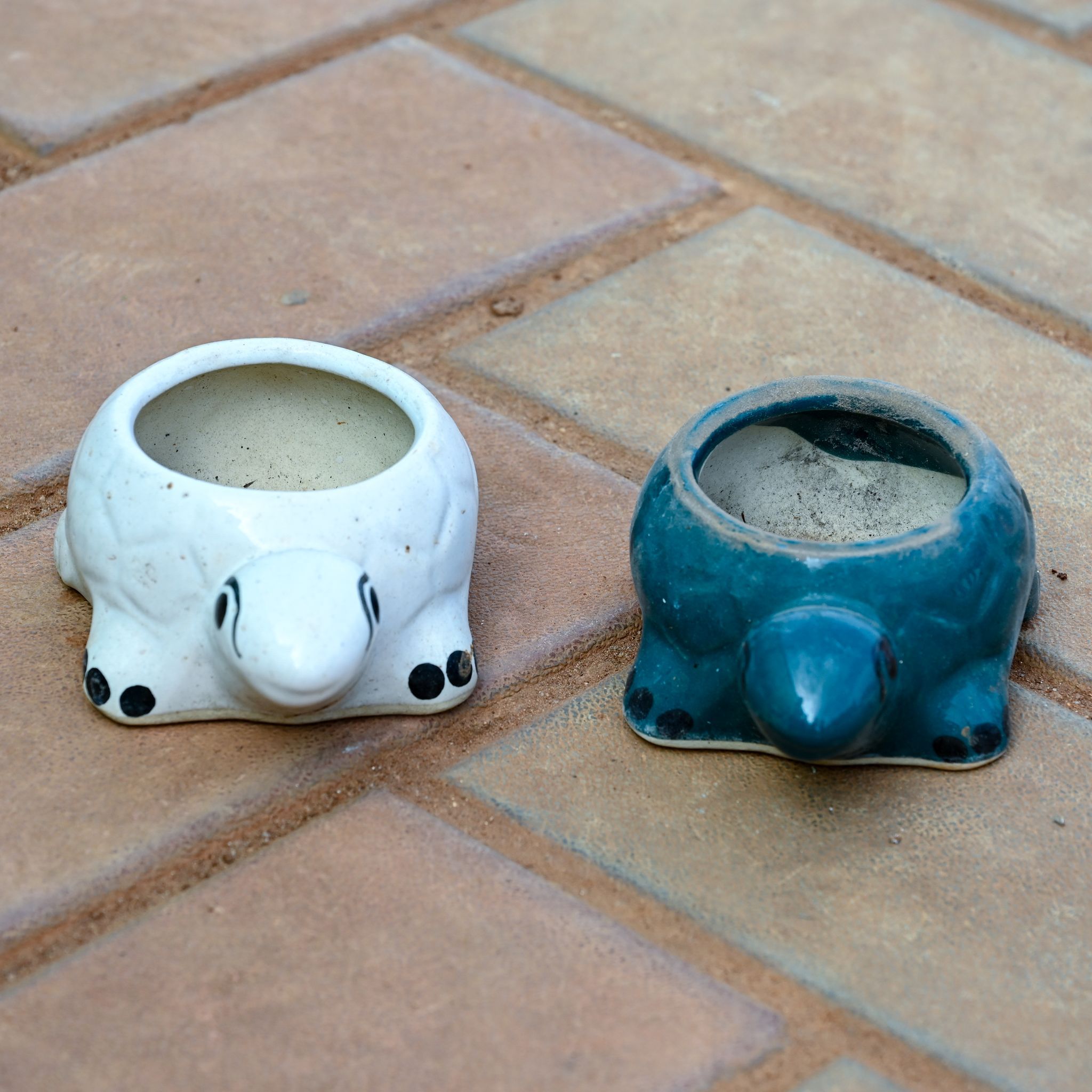 Set of 2 - 2 Inch Turtle Designer Ceramic Pot (any colour)