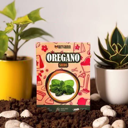 Buy Oregano Seeds - Excellent Germination Online | Urvann.com